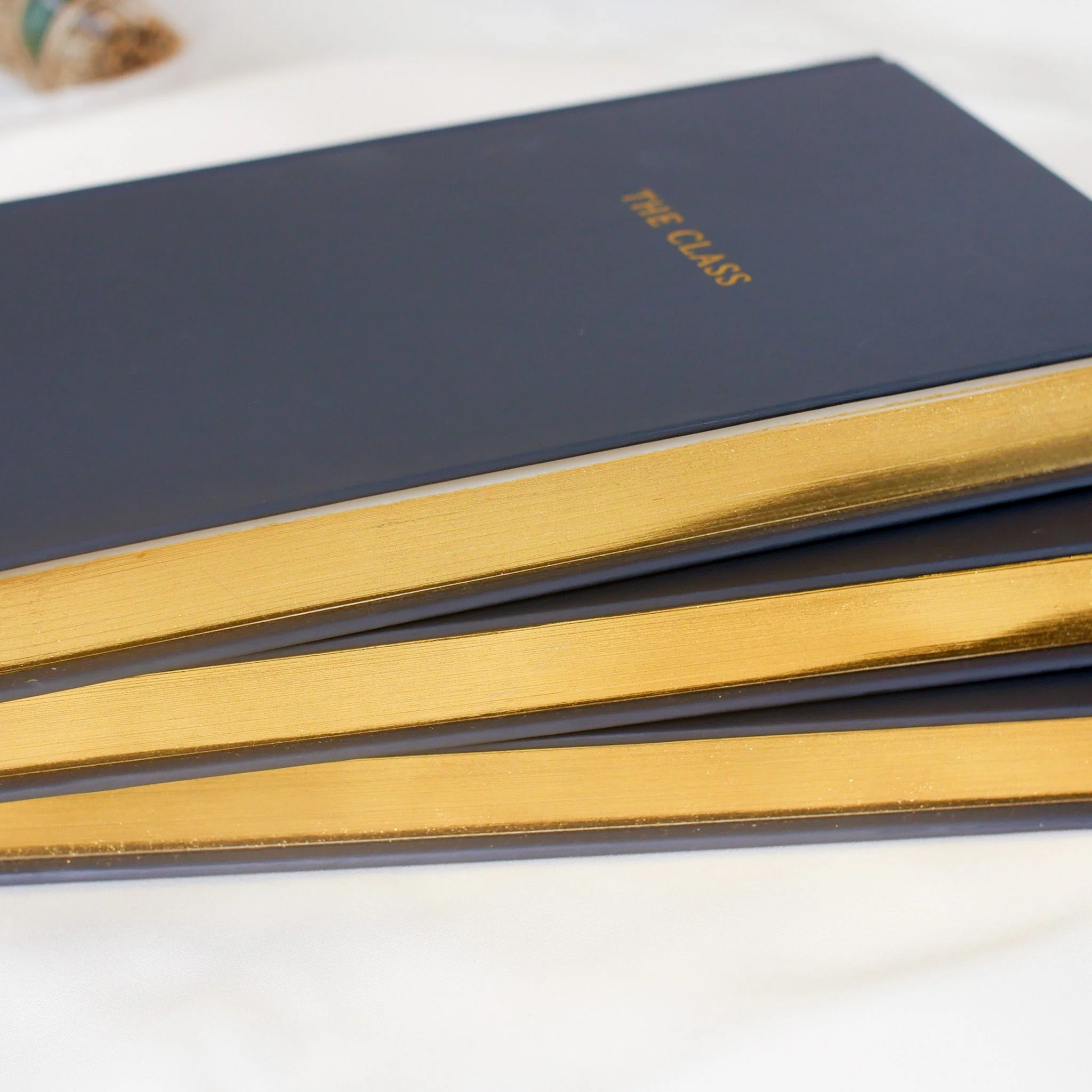 The Class Notebook - Image 2